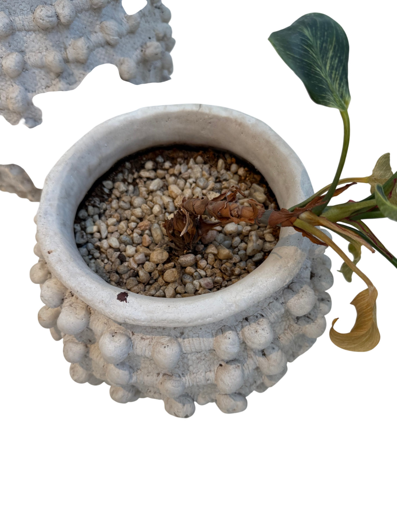 Minka-Style Indoor Planters (Set of 2) - w/Plants!