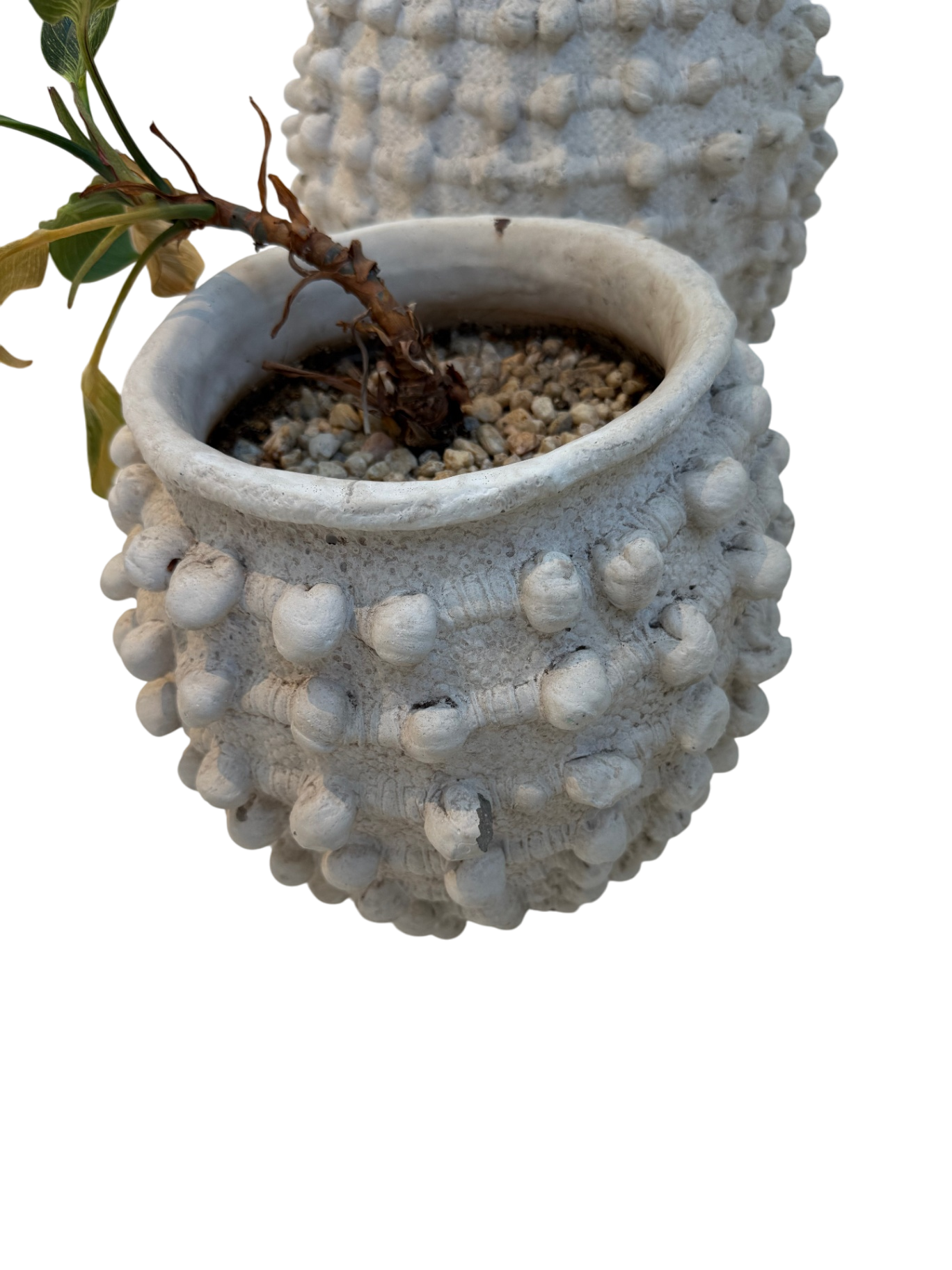 Minka-Style Indoor Planters (Set of 2) - w/Plants!